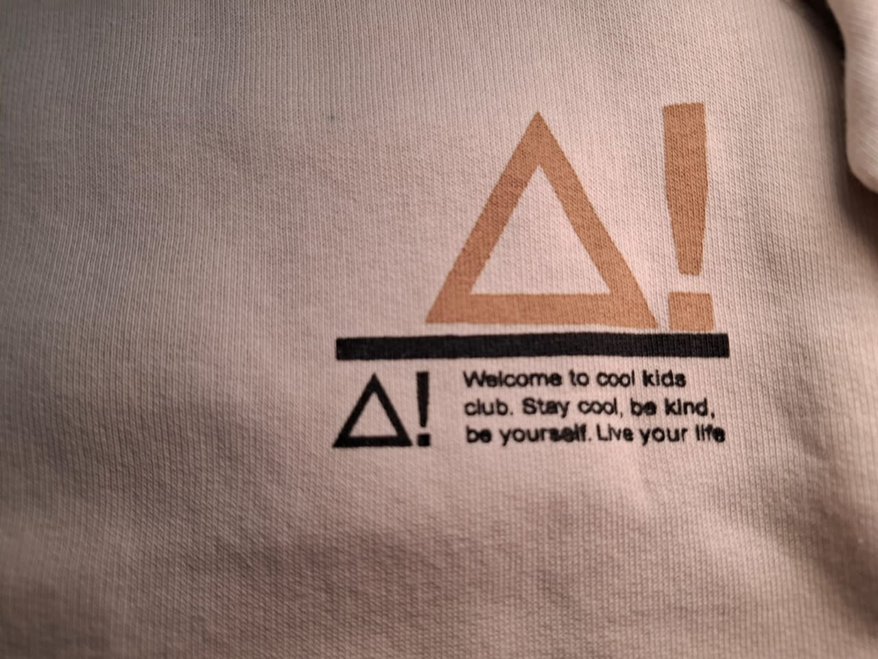 Sleek Essentials: Taupe Hoodie with Graphic Accent