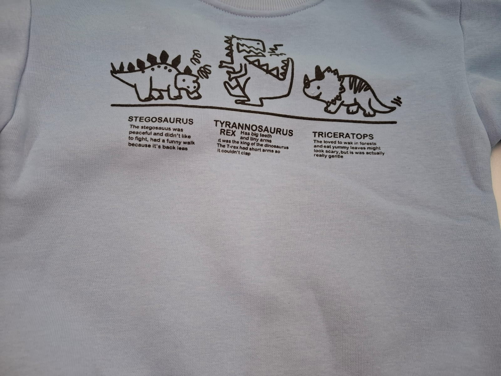 Dino Discovery: The Cool Blue Graphic Tracksuit Set